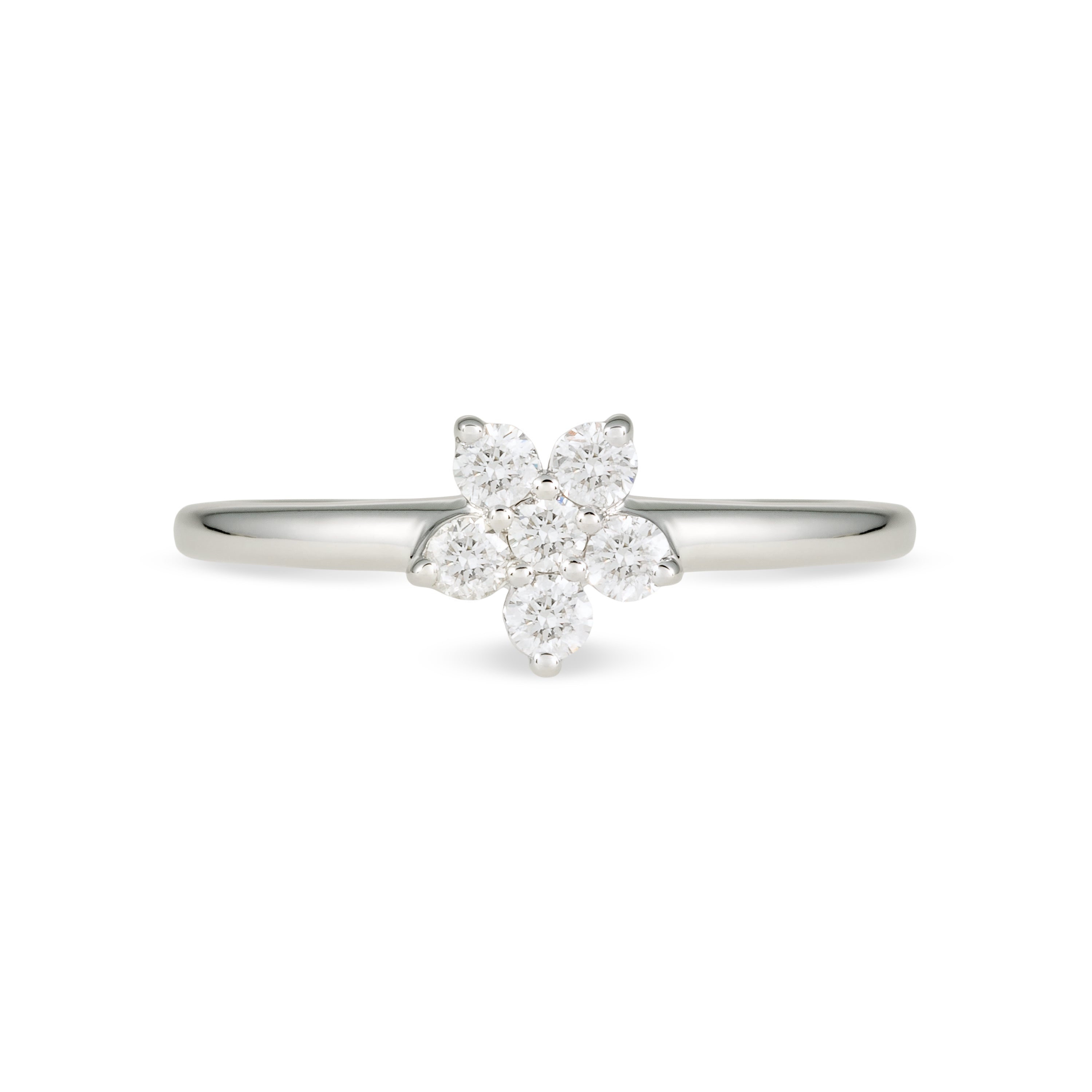 Anillo Brune