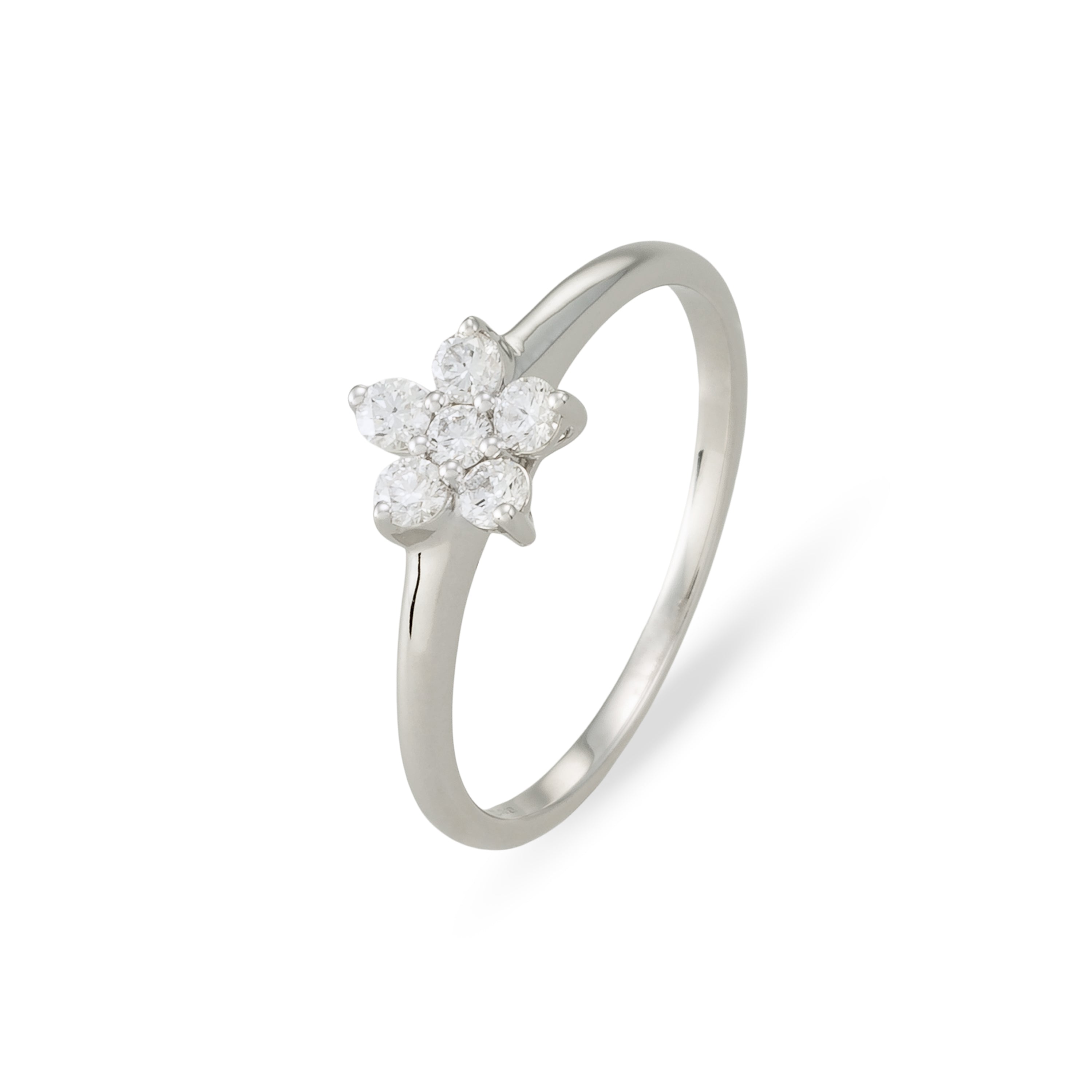 Anillo Brune