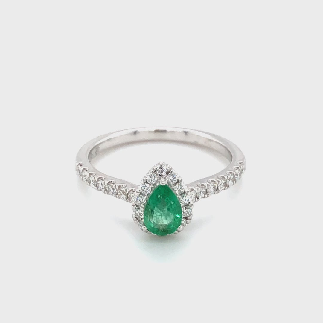 Anillo Estalis